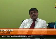 What do you mean by ‘corporate leadership’? (Consultant, QED)