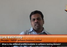 What are the different profiles available in software testing domain? (Sr.Manager,3DPLM Software Solutions Ltd.)