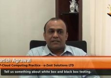 What is white box testing and black box testing? (VP – Cloud Computing Practice – e – Zest Solutions LTD)